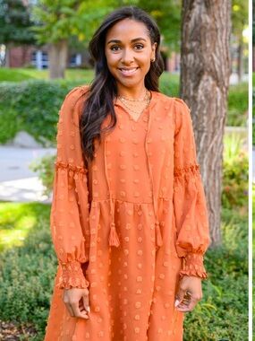 Hailey and Co. Special Feeling Swiss Dot Babydoll Dress. Rust Women’s Sz-M.
